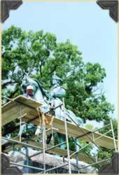 Scaffold for Restoration